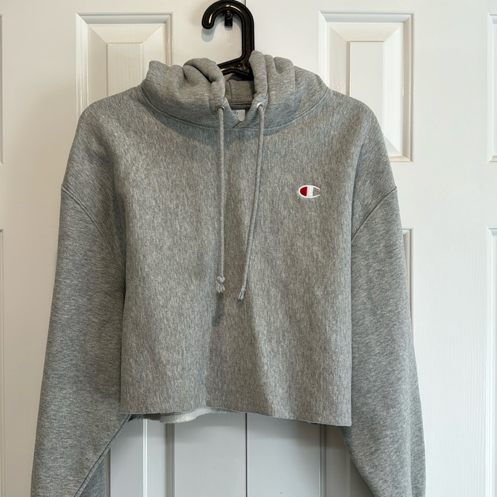 Champion urban outfitters gray crop hoodie
